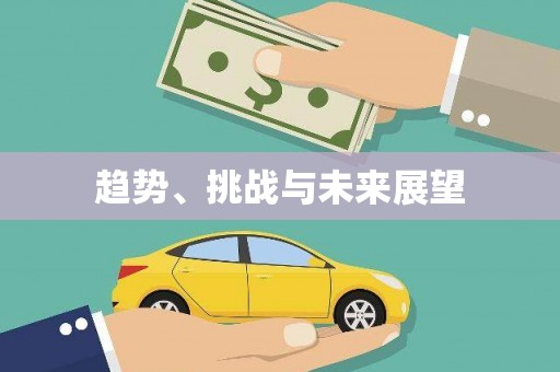 鹤庆趋势、挑战与未来展望