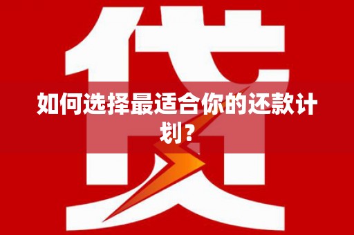鹤庆如何选择最适合你的还款计划？