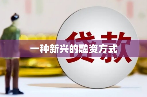 鹤庆一种新兴的融资方式