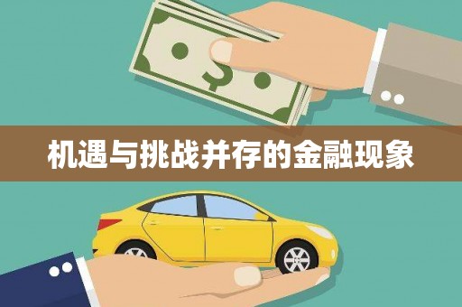 鹤庆机遇与挑战并存的金融现象