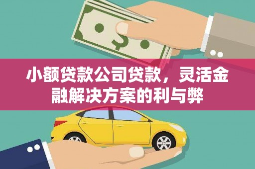 鹤庆小额贷款公司贷款，灵活金融解决方案的利与弊